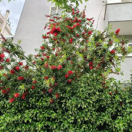 Il Pozzo Apartment Rome