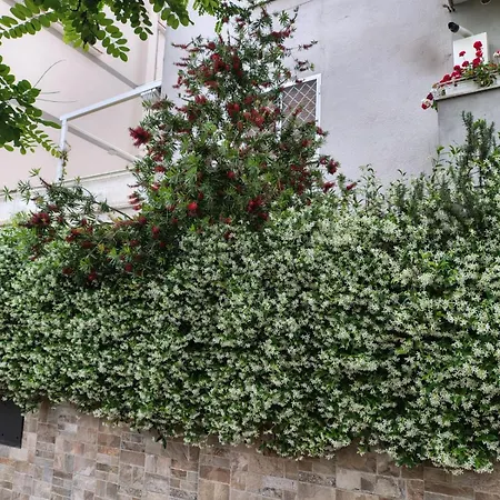 Apartment Il Pozzo *